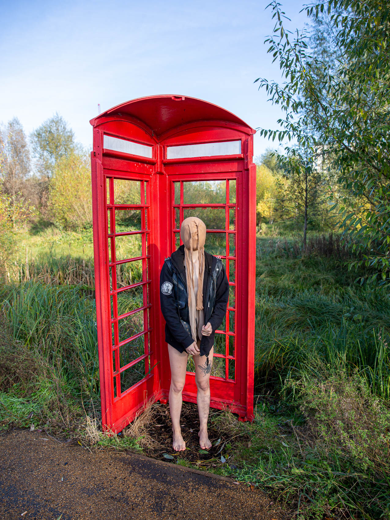 Red Telephone Box Holly for 