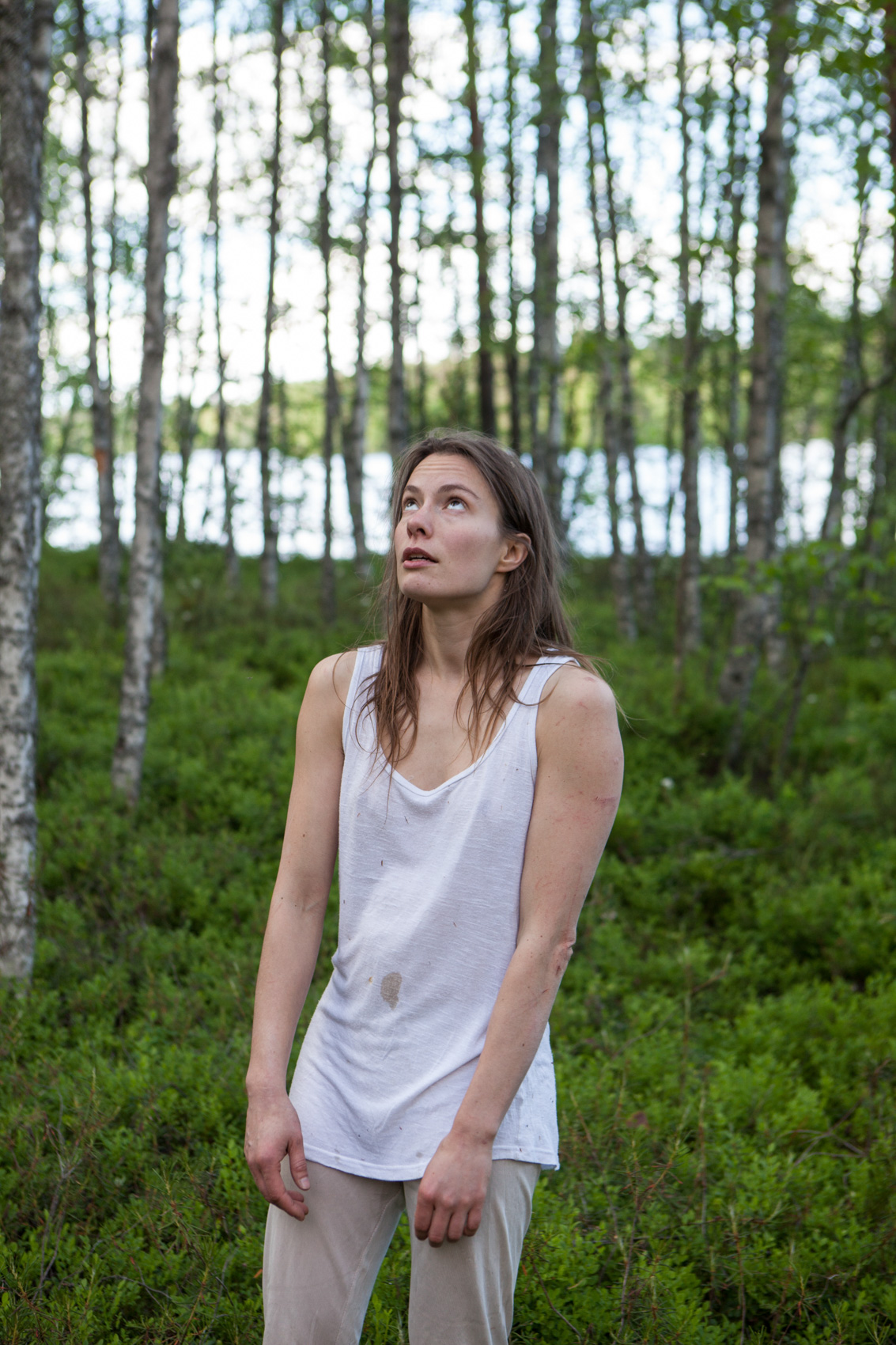 The Forest Project by Ben Hopper (2015)
