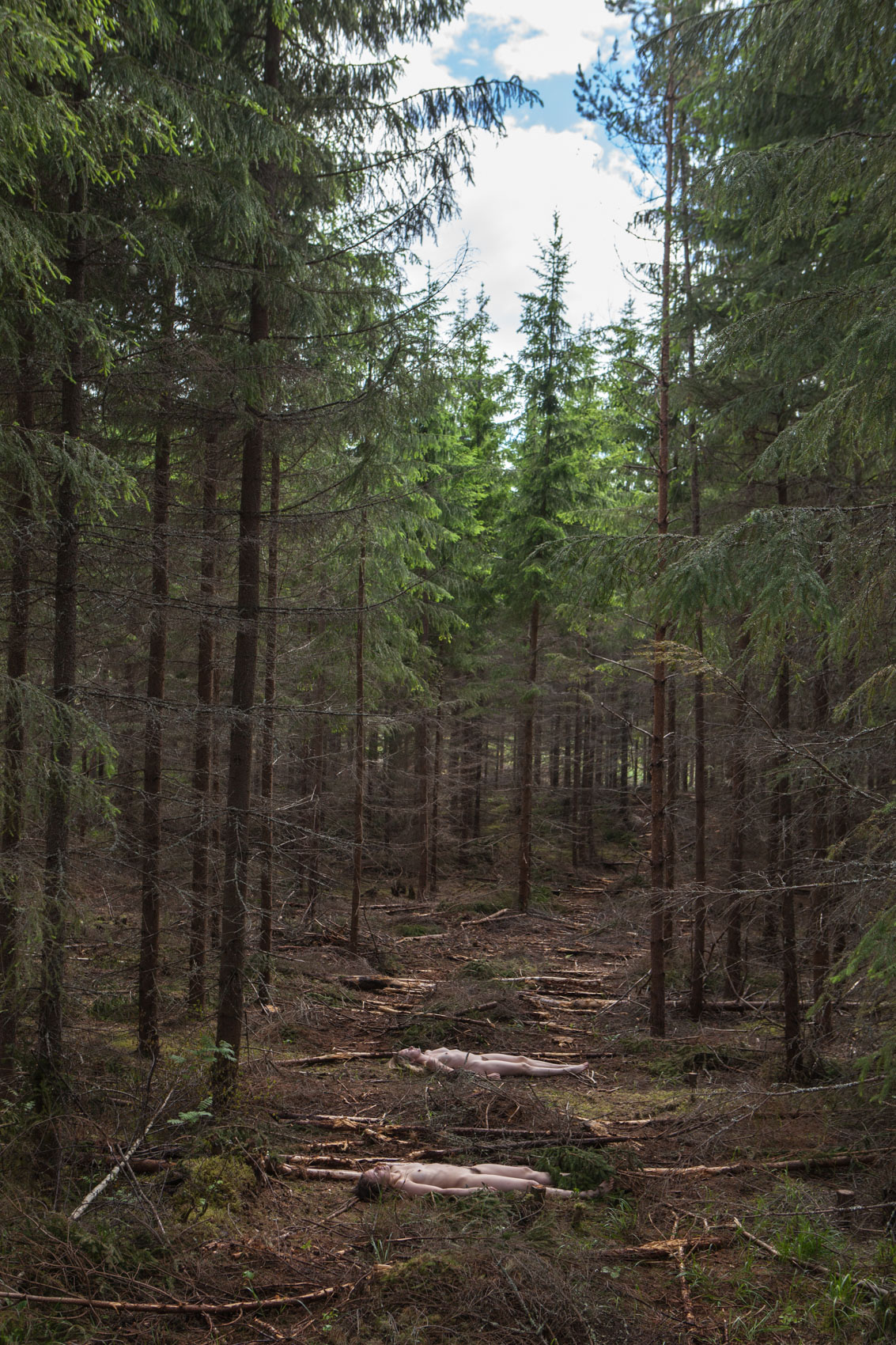 20150617_TheForestProject_MG_7155