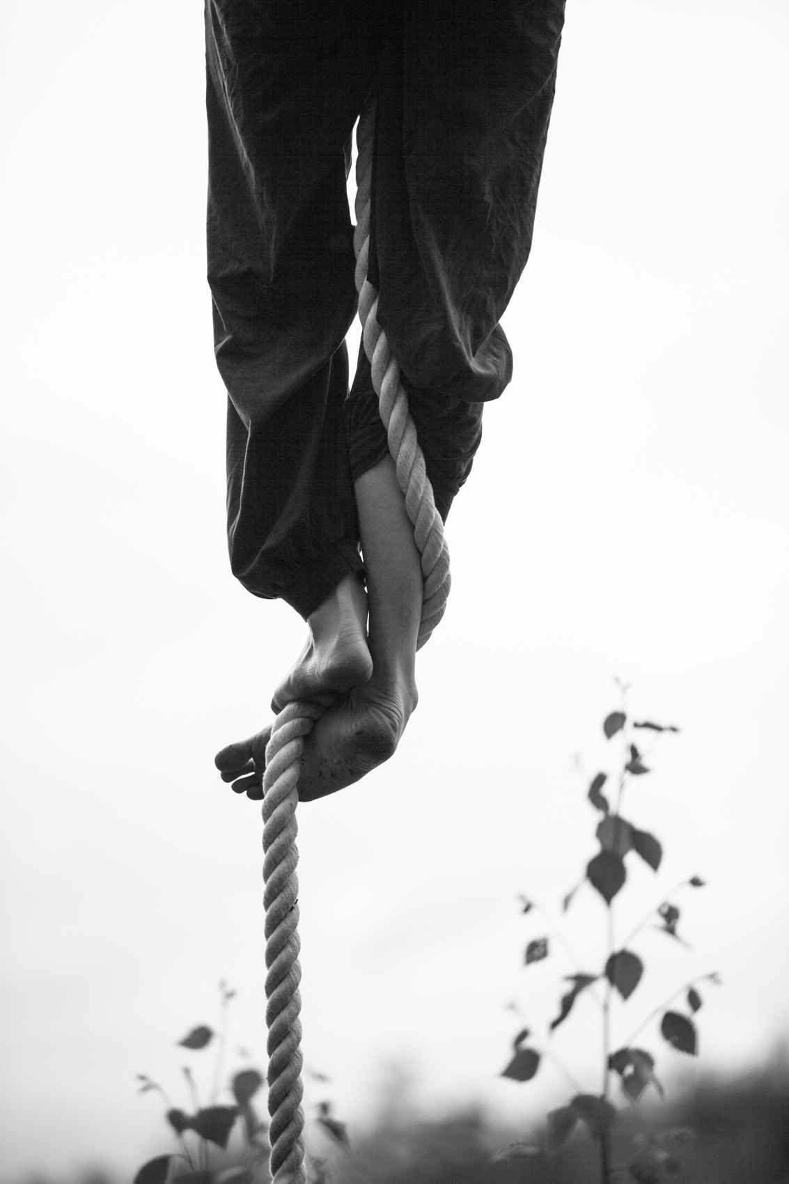 The Forest Project by Ben Hopper (2015)