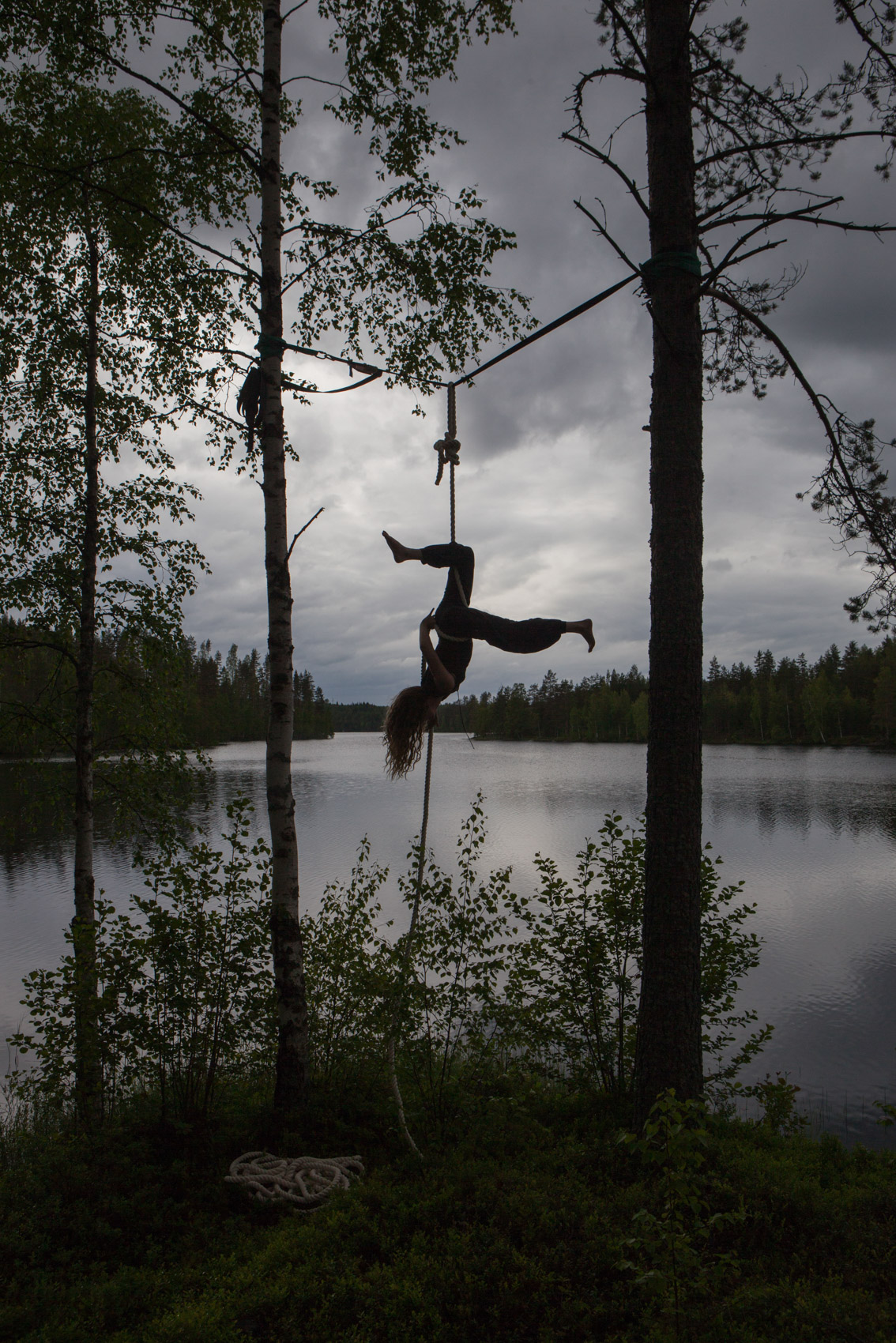 The Forest Project by Ben Hopper (2015)